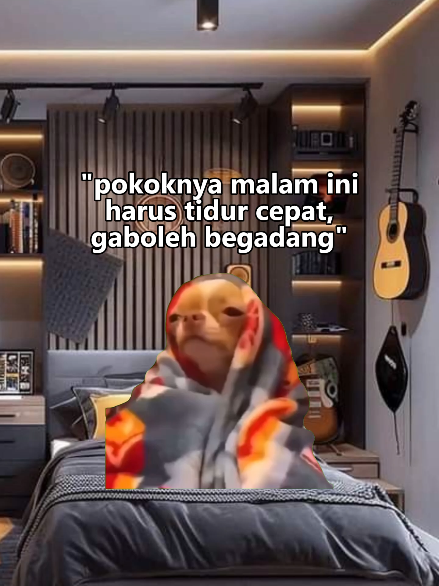 aduh asiknye #pov #memekucinglucu