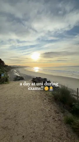 Trying to maintain balance during a busy exam season by making time for fulfilling breaks! Good luck to everyone in full study mode- we have got this!! 👏😚 #nz #studentvlog  #university #exam #dayinthelife 