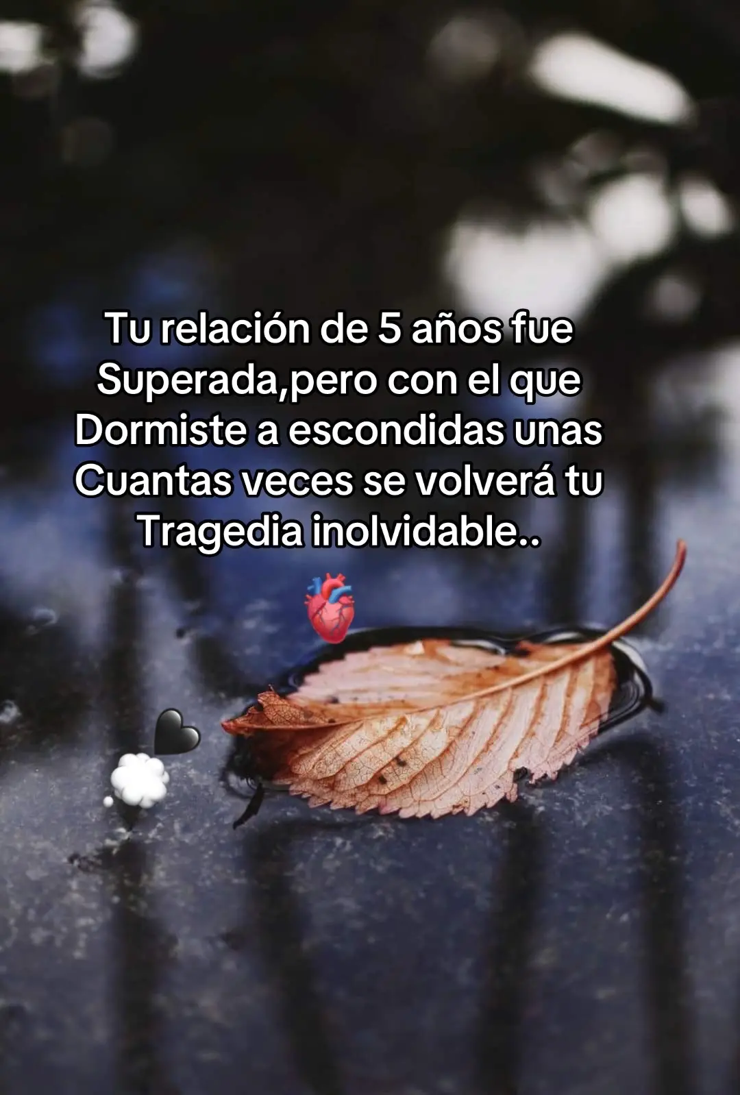 🖤🖤🖤💭🫀💭🖤🖤🖤