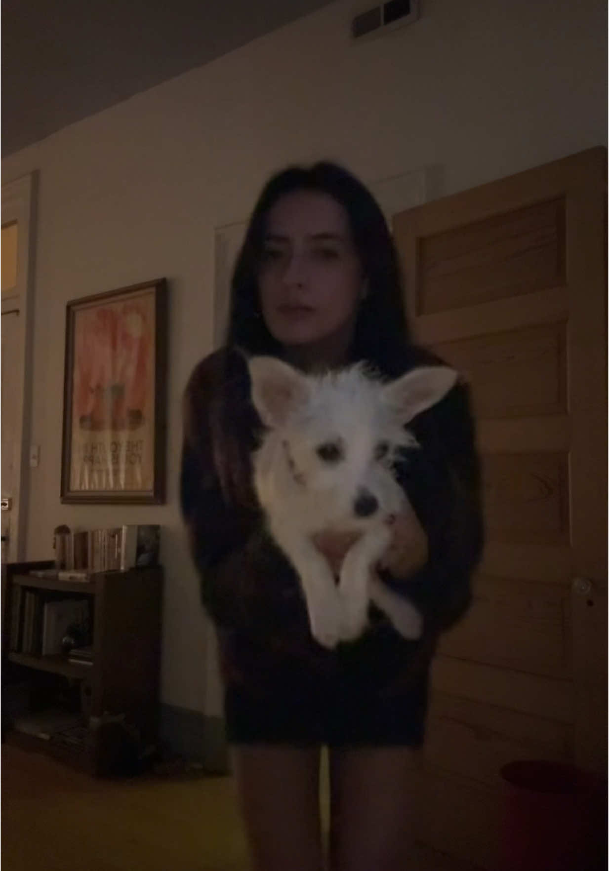 vinny is the star of the show