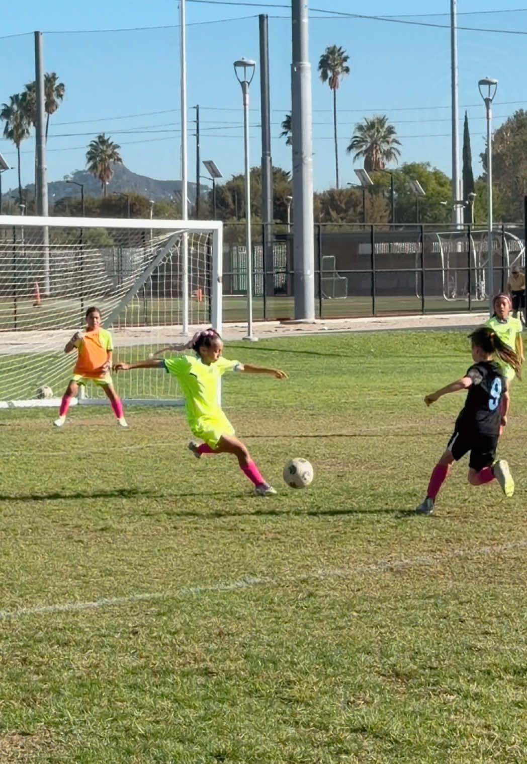 highlights ✨ #soccertiktok #soccergirl #soccerhighlights 