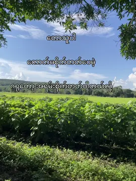 တကယ်ပါ🤪 #viral #fyppppppppppppppppppppppp #fyp #viewsproblem 
