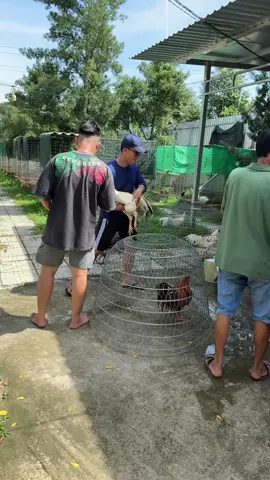 Ngày mới tốt lành @Baosting_shop giỏ hàng chính đang bị lỗi anh em vào @BaoStingShop2 mua nha 