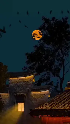 #قرآن #quran  #quran_alkarim #تلاوة_خاشعة #nafhat_quranieh 