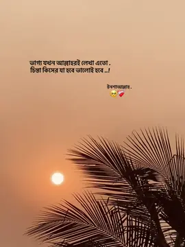 ভাগ্য যখন আল্লাহরই লেখা এতো চিন্তা কিসের যা হবে ভালোই হবে ইনশাআল্লাহ ❤️‍🩹🥹