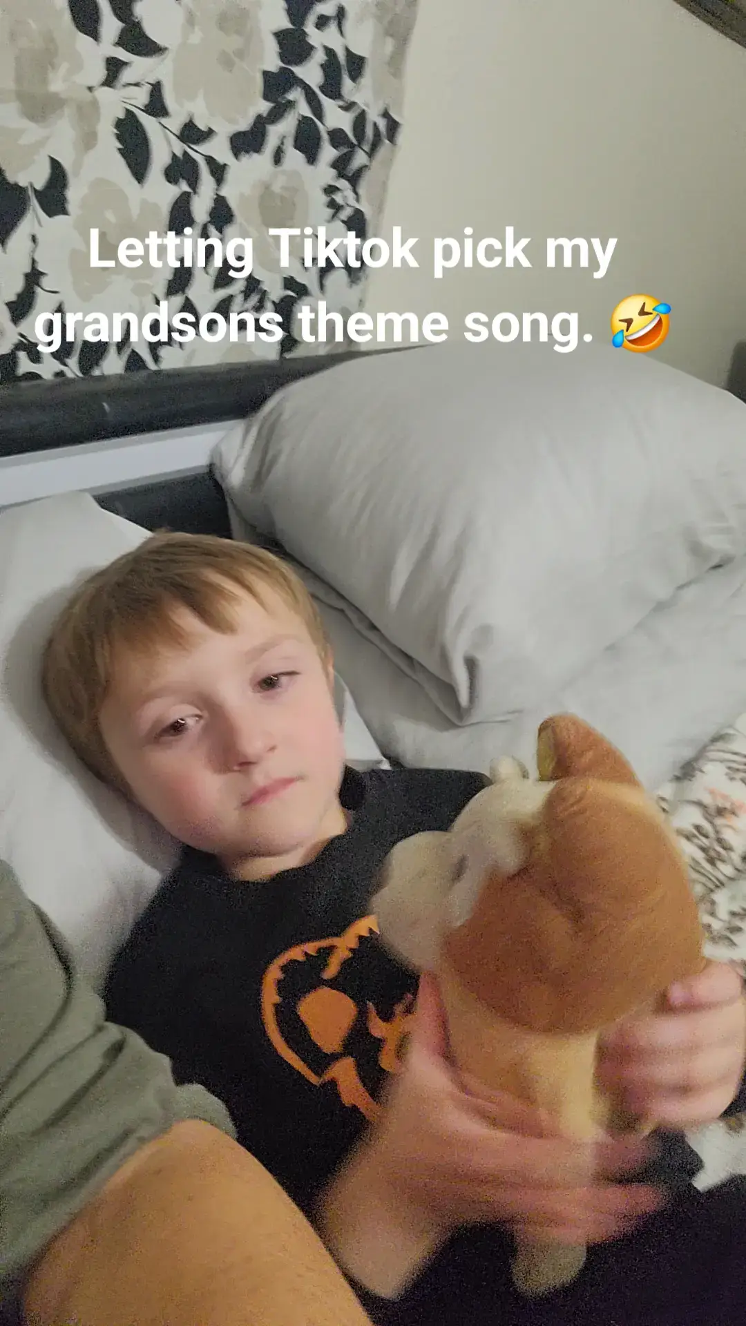 Letting tiktok pick the theme for my grandson.  #topdog #bigboy 