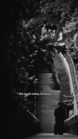 Đời không hề giản đơn..! #tamtrang #fypシ #stt_buồn_tâm_trạng #xuhuongtiktok #meohoangtsc 