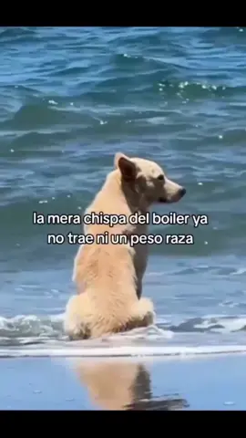 aiudaaaa