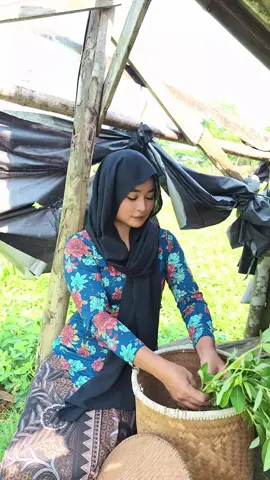 Yuk ah... 😅😅🙏🏻 @idiom07  @indrasamsan  @reihantoloro  #siapayangpunya #romairama_ritasugiarto #lagujadul #jenikamila86 #fyppppppppppppppppppppppp 