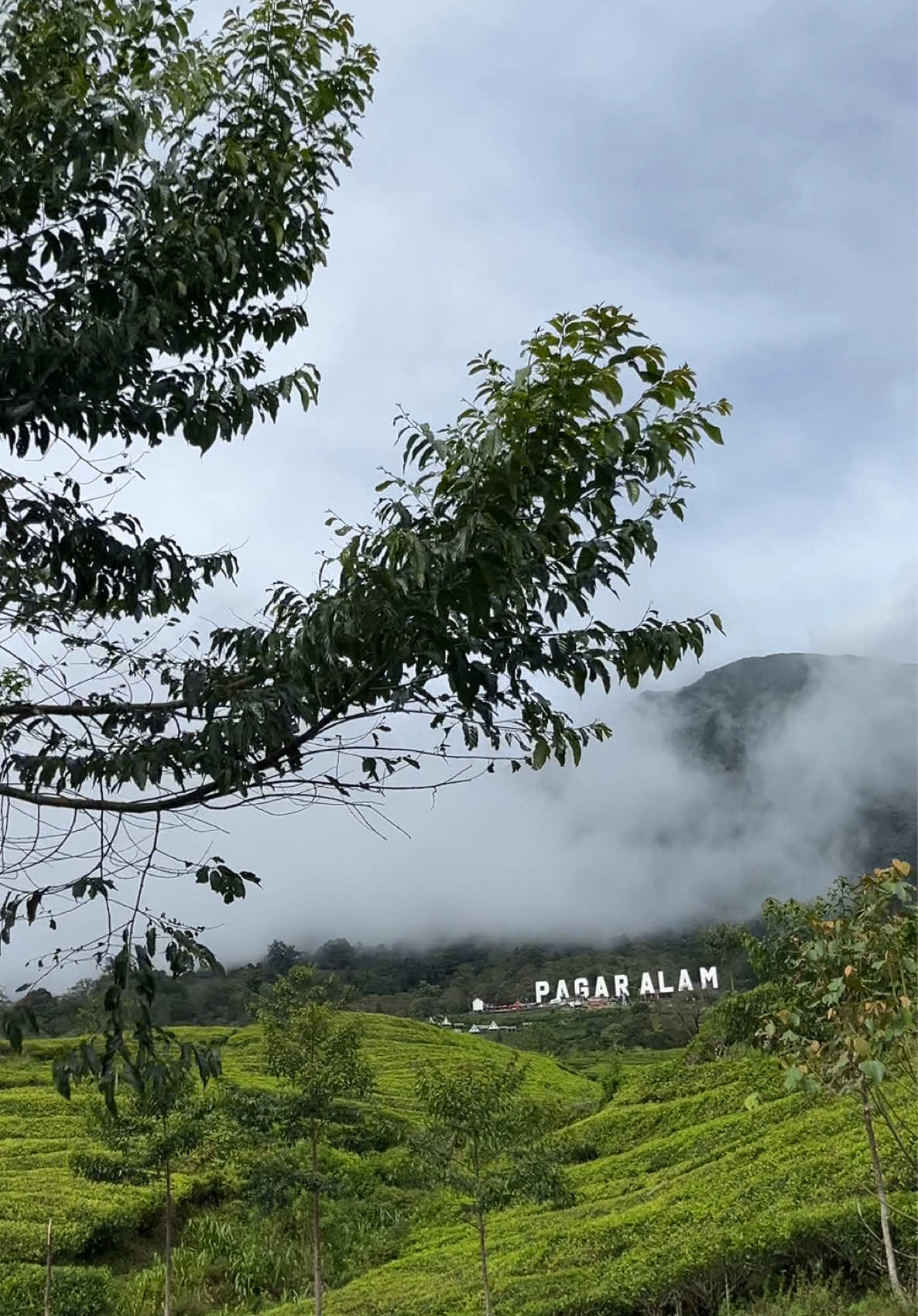 kangen suasana kampung  #fyp #sumateraselatan #pagaralam #gunungdempo 