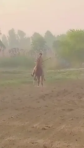 #horselover #horselover #mustafa #khan #shok