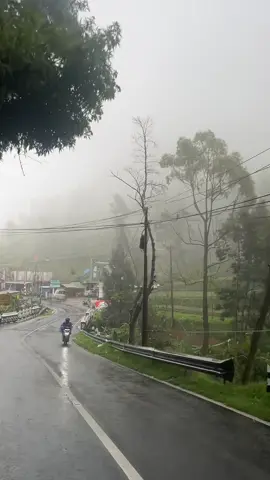 Dieng setelah rain 💦🥶 #diengplateau #foryou #fyp #healing 