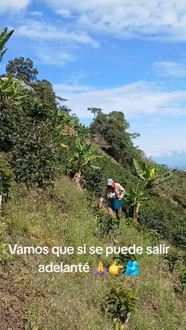 sembrando maíz 🌽 👉🙏💪. #campocolombiano #colombia #viralditiktok #paratiiiiiiiiiiiiiiiiiiiiiiiiiiiiiii #viralditiktok 