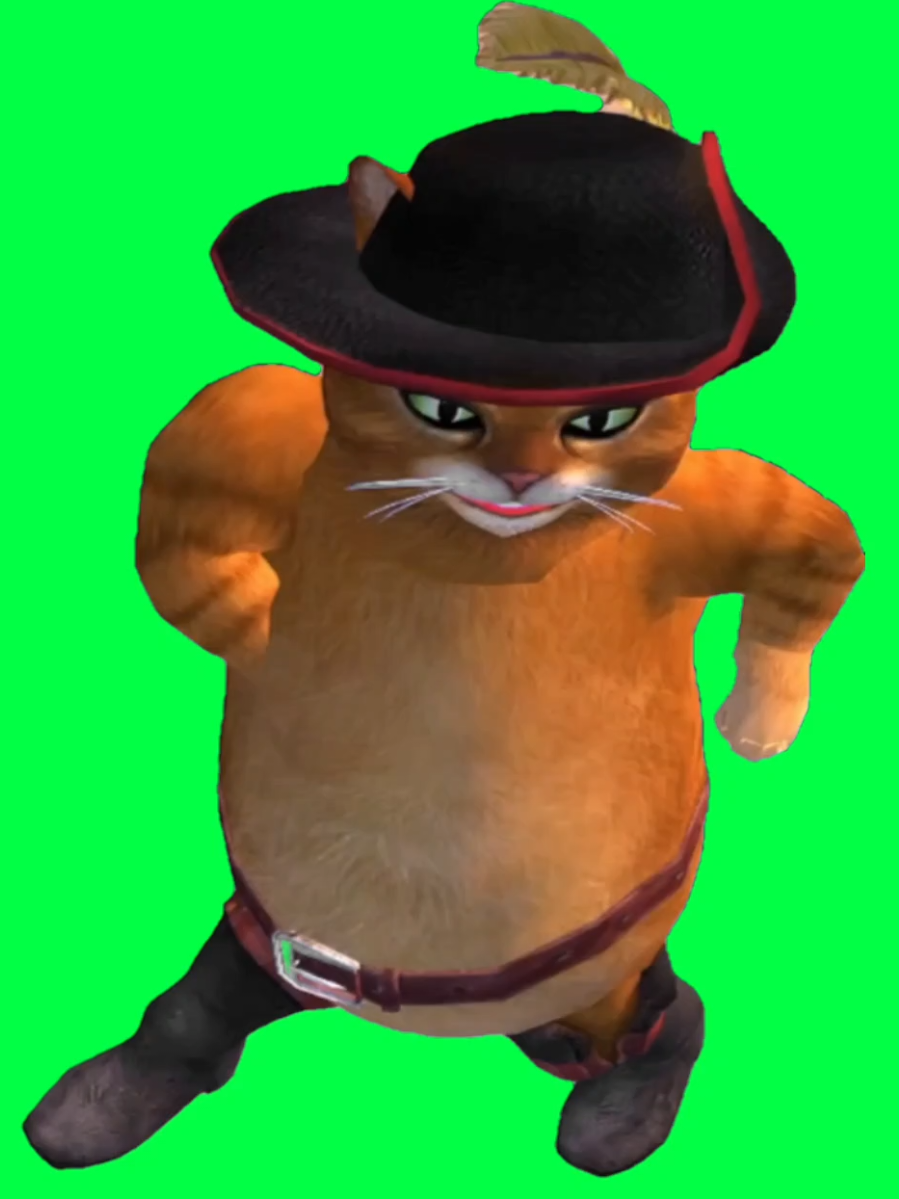Use this CapCut green screen of @ratatadance8’s animation of Puss in Boots dancing to “Tokyo Bounce” by HELPAISLEET — a stylish, energetic mashup of smooth animation and high-tempo beats. Perfect for meme edits, dance remixes, or adding creative captions to match the rhythm and swagger of Puss in Boots. Great for creators who love animated dance trends, character mashups, and visually catchy TikTok loops. #pussinbootsdance #tokyobounce #animatededit #danceanimation #capcuttemplate 