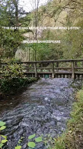 #MentalHealth #inspiringquotes #trending #hikingadventures #october 