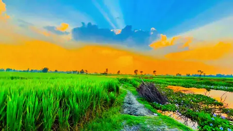 যার বিরহে হ্রদয় পুরে