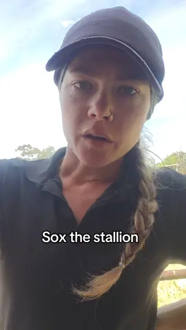 I've had it with being sent content about Sox the stallion with people asking my thoughts. My thoughts are I have no thoughts because I've got real life horses infront of me who need the energy more. #equestrian #horsegirl #horsetrainer #horse @ #stallion