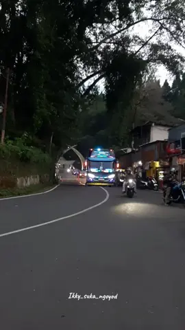 alahh bukit berbunga putus² gaiss 🤩💃 #fyp #teloletbasuri #busmaniacommunity #ngoyodbus #busmania 