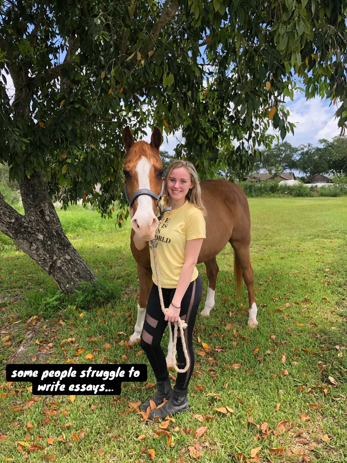 #arabianequine #horsesoftiktok #horsegirls #missingmypony #fypage 