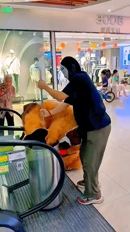 #funnyvideos #funny #funnyanimals #fyp #fypシ 
