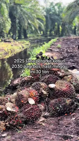 #kulisawitindonesia #fypシ゚viral🖤tiktok #promoseruweekend 