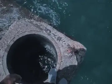 “Rồi mai sau có duyên hãy gặp lại…”#gaplainamta60 #tamtrang #xuhuong #hanhsuri 