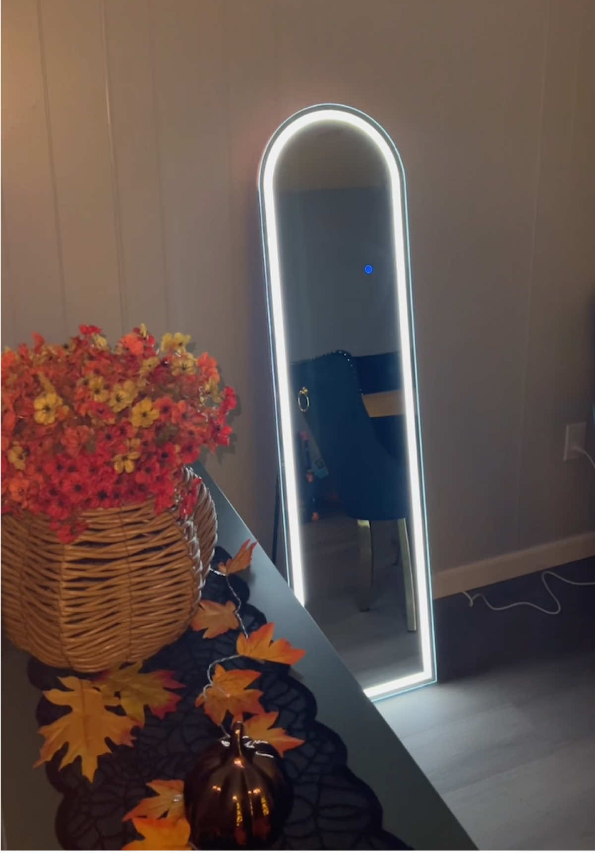 I’ve been loving this full-length LED mirror — the lighting is perfect, you can dim it or switch between 3 color modes, and it makes getting ready feel next level. #LEDMirror #RoomAesthetic #HomeGlowUp #TikTokMadeMeBuyIt #creatorsearchinsights 