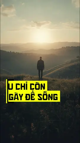 Nếu chỉ còn 1 ngày để sống #tramdungcamxuc247 #cuocsong #baihoccuocsong 