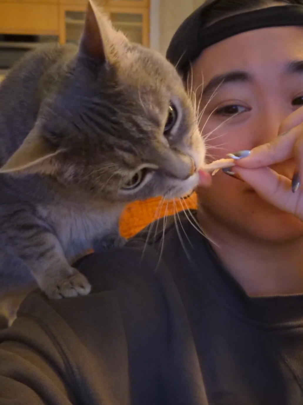 chicken eats chicken, revolutionary 