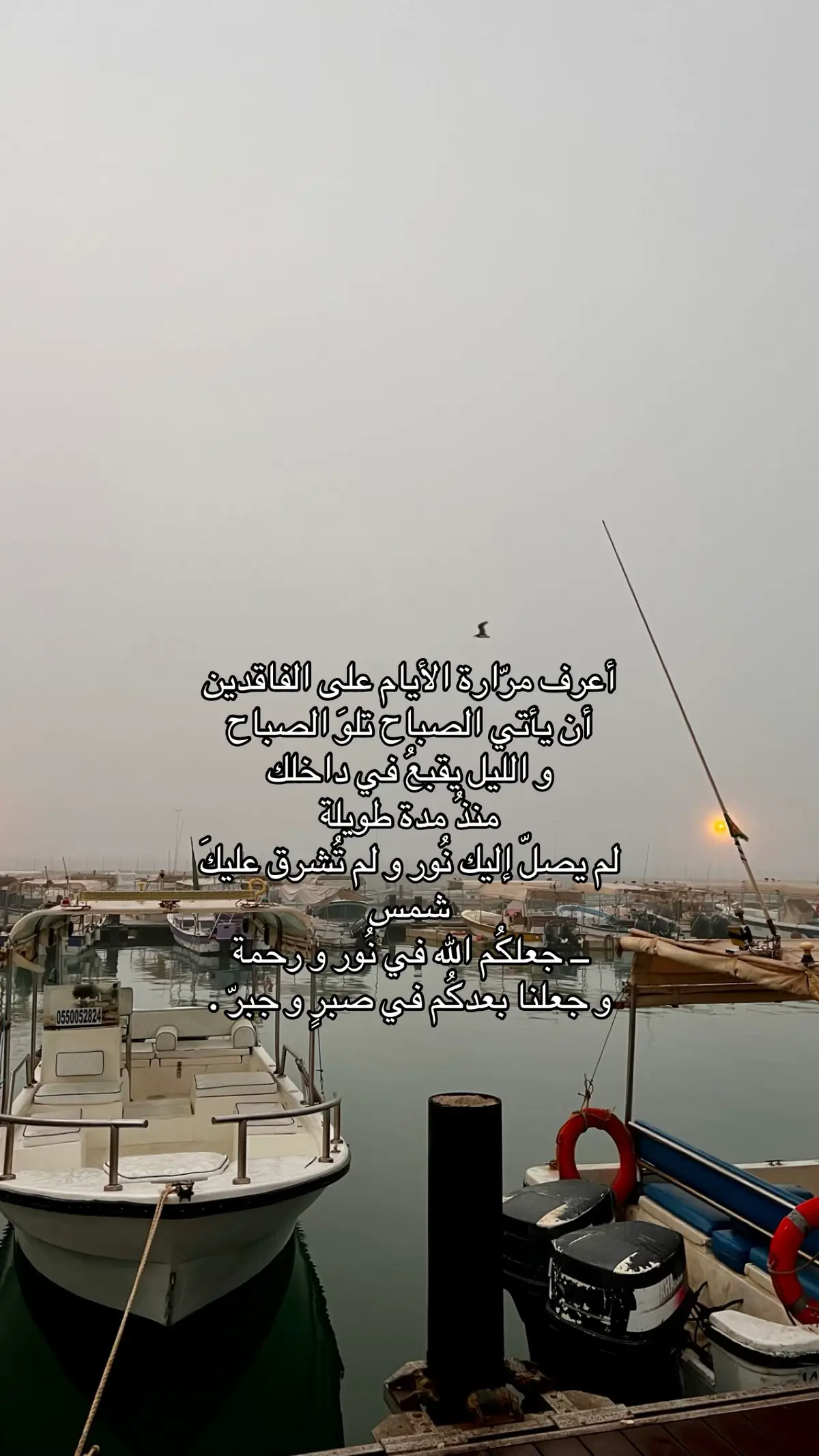 #فقيدة_قلبي 