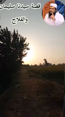 سيدنا سليمان والفلاح #الشيخ سمير مصطفى #جمال_الطبيعة  #الريف #الريف_المصري_وجماله 