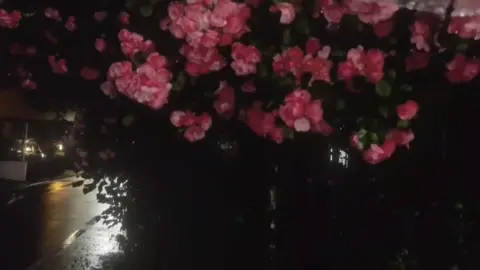 Starts Above the Hill (星斗照高楼）-七元 #星斗照高楼 #StartsAbovetheHill #1999🌻 #nhactrungquoc #nhachoa 