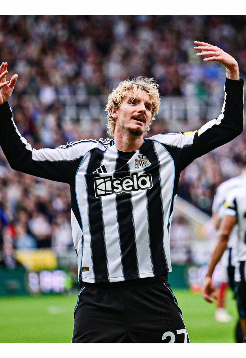 Nick Woltemade in Newcastle United #nickwoltemade #woltemade #newcastle #top #goals