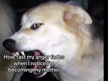 I don’t want to be like her when it comes to anger #mother #anger #vent #mood #fyp 