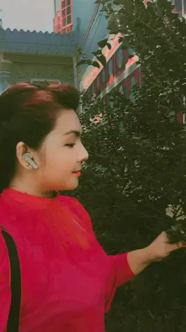 #foryou #foryourpage #မောနင်းပါ