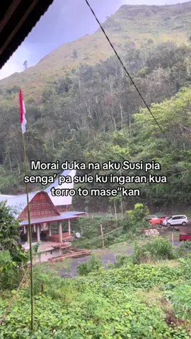 #fyppppppppppppppppppppppp #toraja 