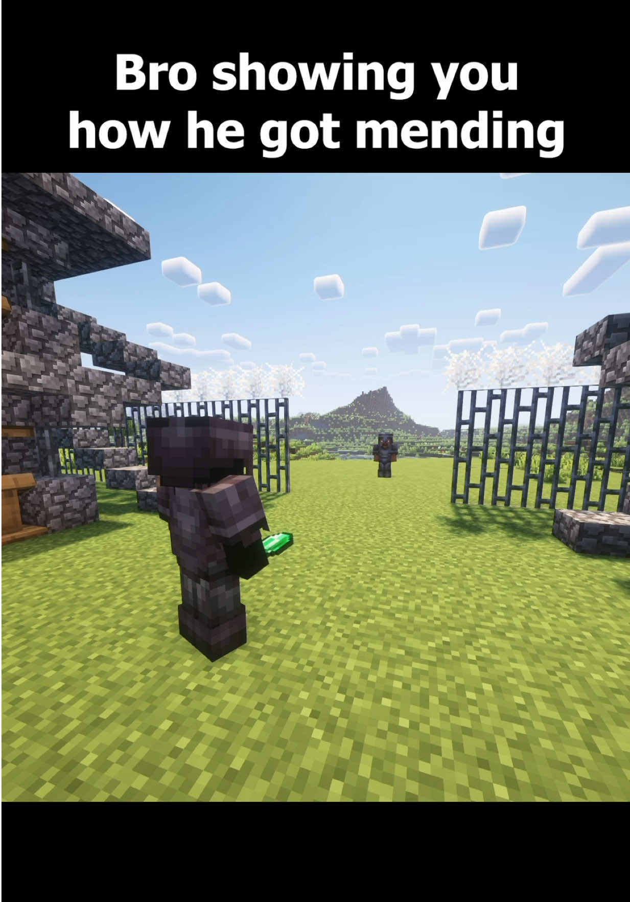 #Minecraft #invincible #funny #meme 