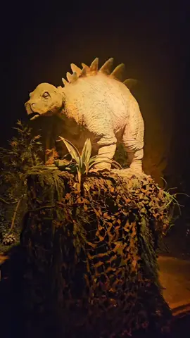 Love this ride when im in Tennessee!!#dino#fypシ #rawr 