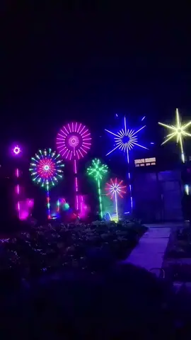 Led Pháo Hoa Ngoài Trời 18 Tia#den #denled #denledtrangtri #ledphaohoa #denledtrangtringoaitroi 