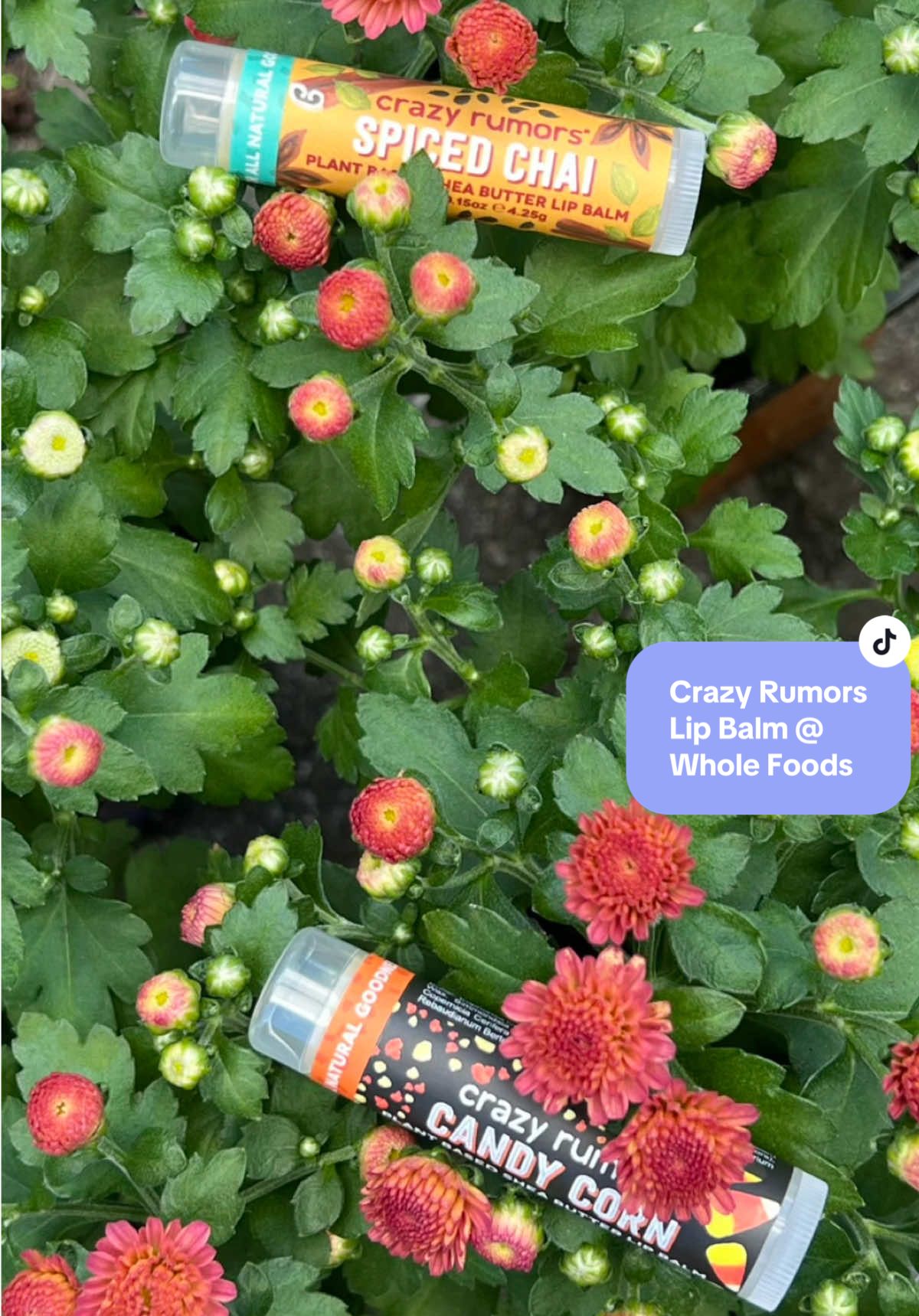 The Crazy Rumors Spiced Chai and Candy Corn Chapsticks (Whole Foods find!) are giving me fall vibes🍁 and keeping my lips ultra-hydrated. 💋💧 I love that these are 100% natural, plant-based, vegan, cruelty-free, and even come in eco-friendly packaging with 30% less plastic. 🌎💚✨ #CrazyRumors #WholeFoodsFinds #CleanBeauty #VeganBeauty #CrueltyFreeBeauty           @Whole Foods Market 