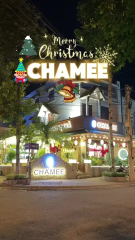 Không ngờ ở Tân Uyên lại có quán cafe trang trí Noel xịn như vậy #noel #quancafedep #vulangthang 
