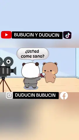 Pues si ¿no? 🤭...🐻🐼🫶🏼✨ #chiste #sigueme_para_mas_videos_asi #humor #bubududu #fyp 