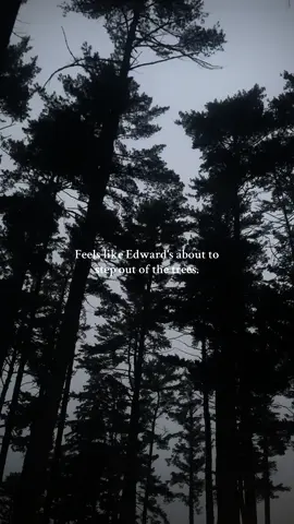 October has a way of making everything feel like a scene out of Twilight 