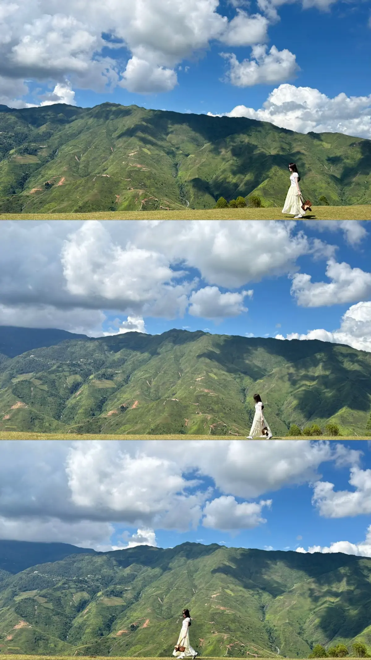 Tà xùa tháng 9 có núi, có mây, có lúa chínn ⛰️ ☁️ 🌾  #taxua #ximvang #sanmay #thaocoffe 