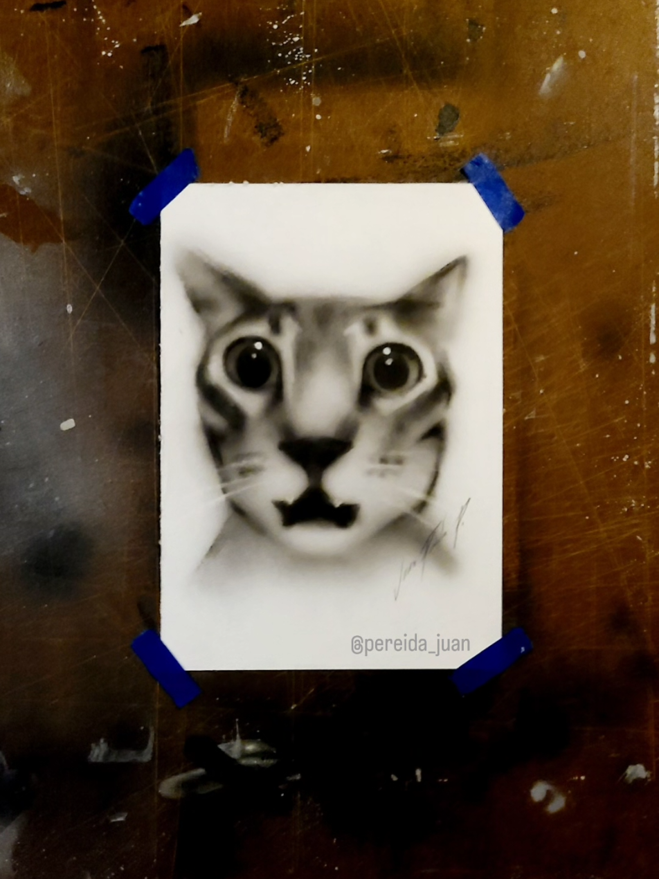 Pintando un gatito con aerografo :) . #airbrush #meme #scketchbook #art #artist 