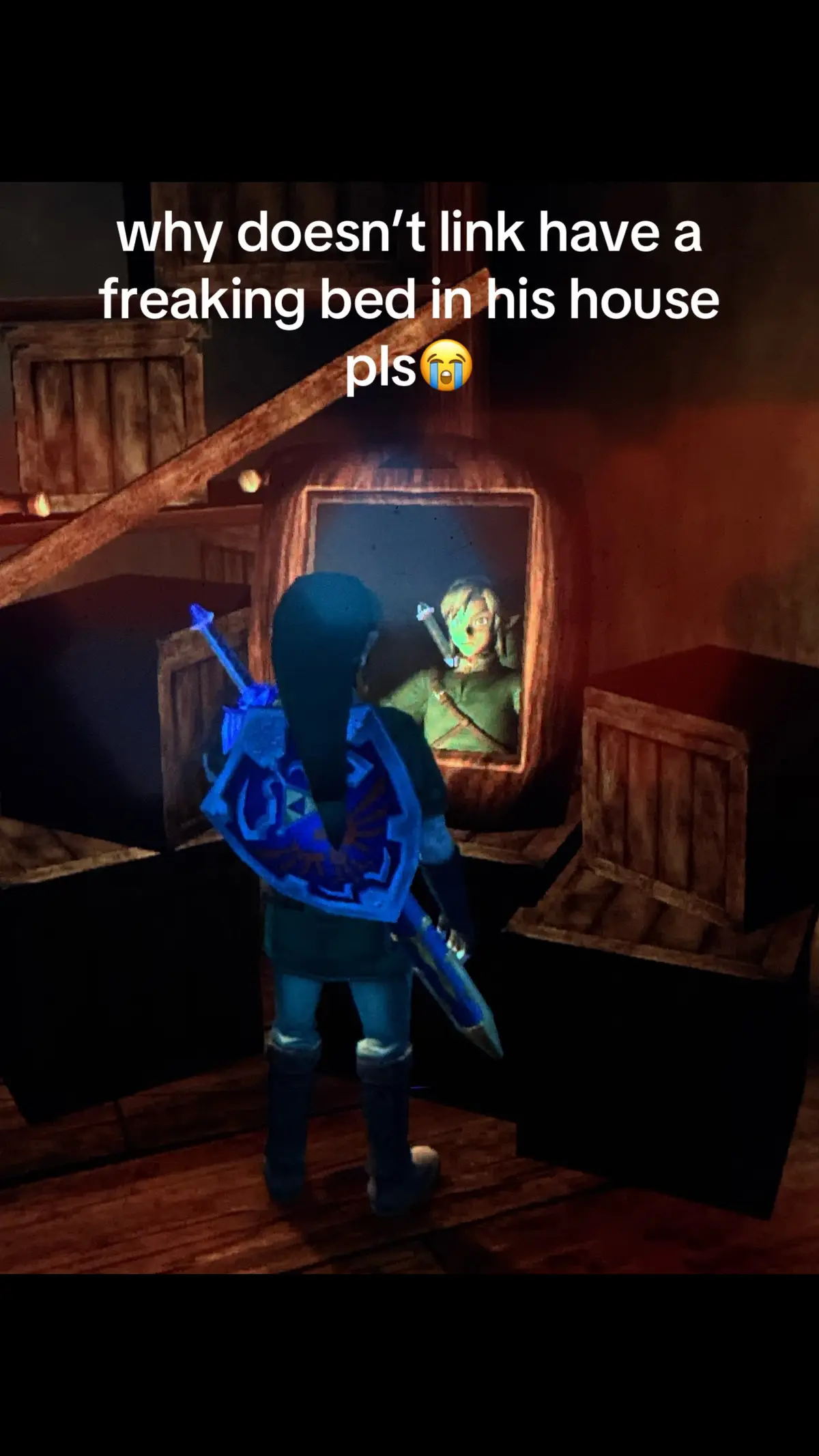 #thelegendofzelda #link #linkshouse #fyp