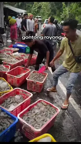 udang berserakan #lombokvirall🌴🌴 #lomboktiktok #kecelakaan #fyppppppppppppppppppppppp #news 
