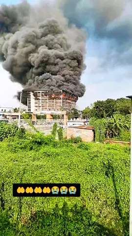 #kviews✔️tiktok🌍🔥100🌹♥️♥️😭😭😭💔 #♥️♥️♥️🌺💗💗💗💔💔♥️♥️❤️❤️❣️❣️💗💗💗🌹 