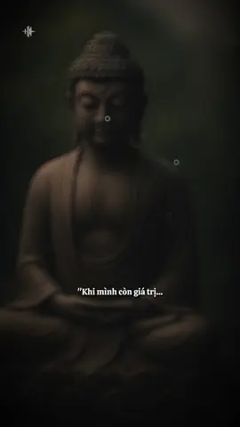 Sự đời bạc bẽo lắm…#phatphapnhiemmau #nammoadidaphat #tuetamhocphat🍀 #phatphap #xh 