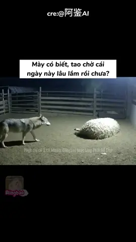 Là mẹ nè con 